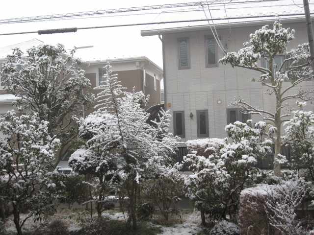 c0122744_1801249.jpg