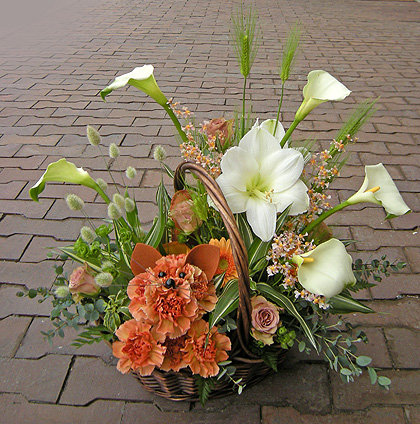 a0001354_2215491.jpg