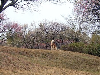 c0097558_23402759.jpg