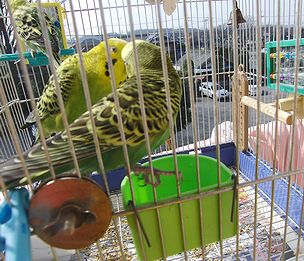 f0196665_23572673.jpg