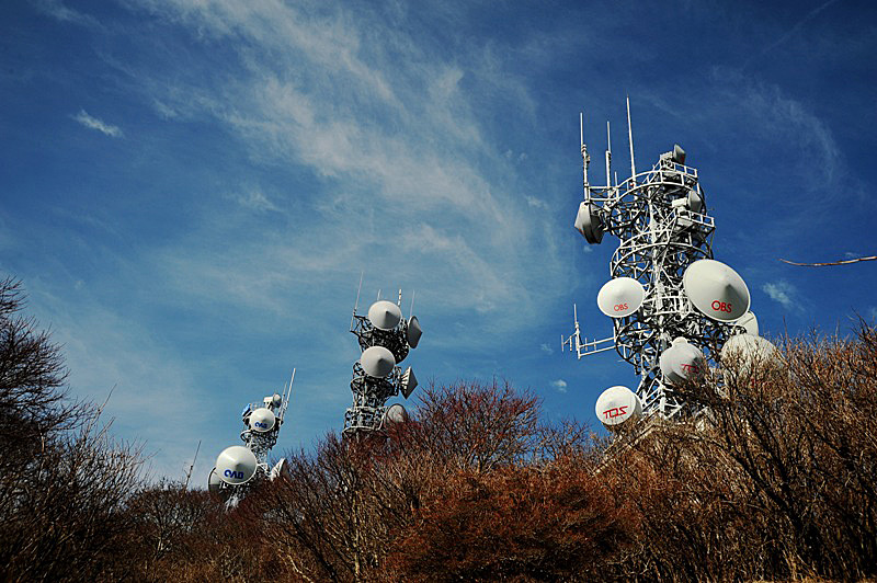 b0131167_21321965.jpg