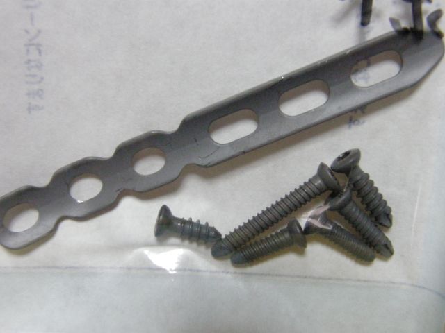 c0042869_18481489.jpg