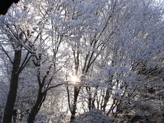 e0178175_9273317.jpg