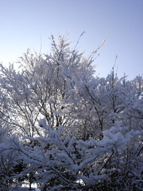 e0178175_9422876.jpg