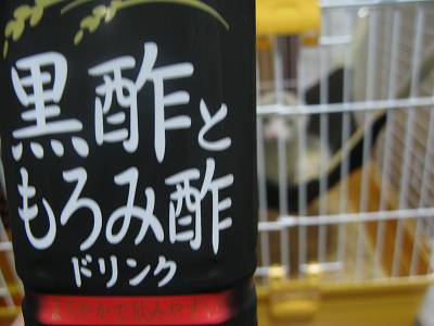 f0213677_16222773.jpg