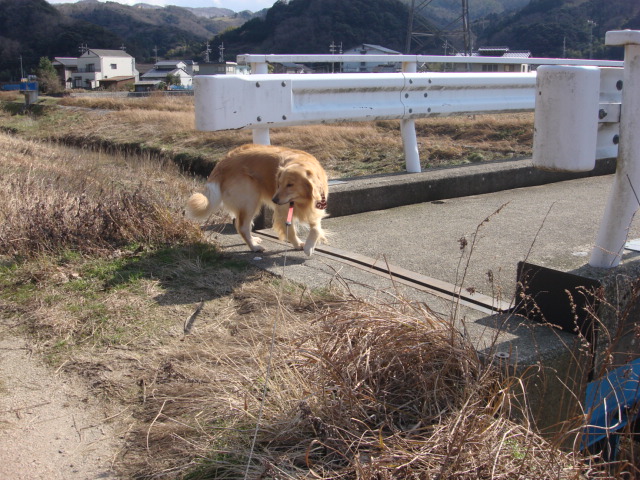 a0040978_11571073.jpg