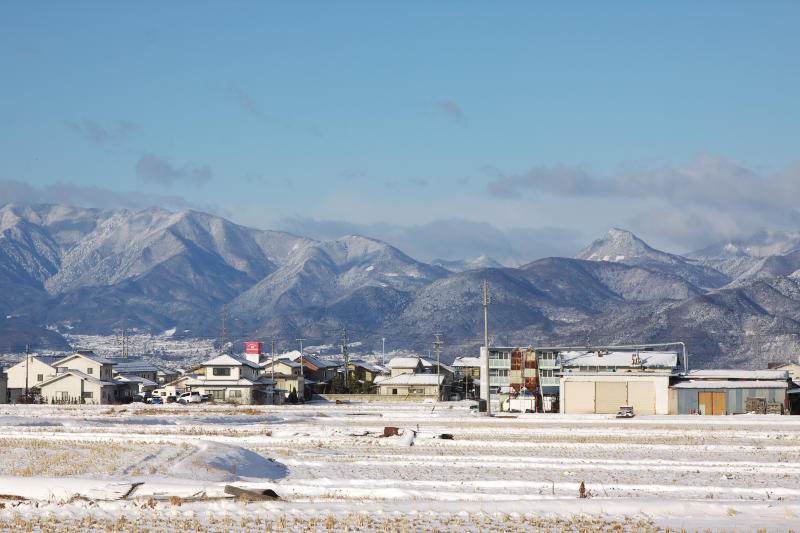 b0083779_2130995.jpg