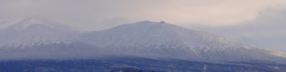 a0007388_16505589.jpg