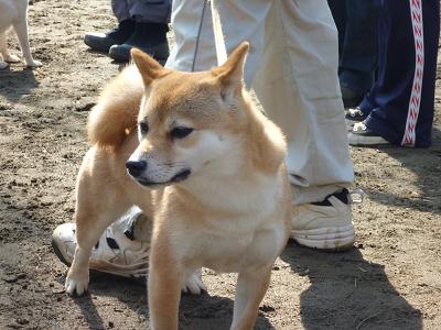 c0123890_205678.jpg