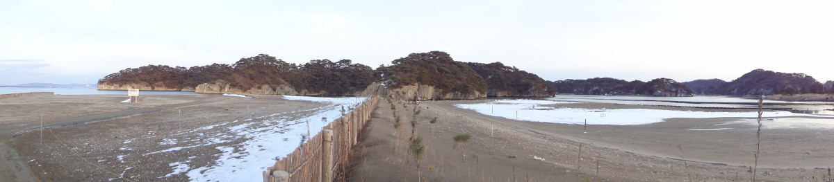 f0084796_20231358.jpg