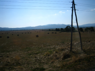 c0077697_1765039.jpg