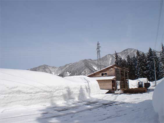 a0061599_2158085.jpg