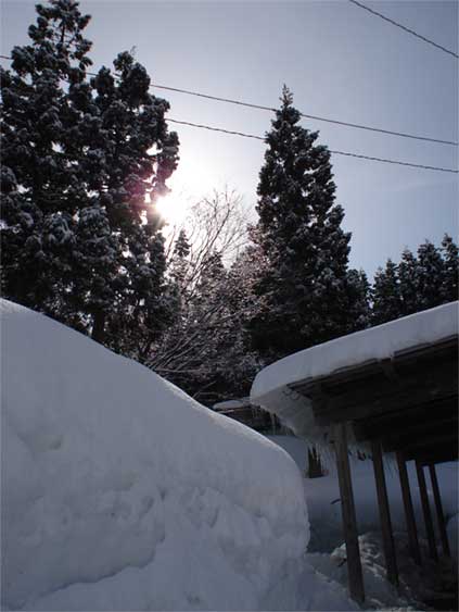 a0061599_21585118.jpg