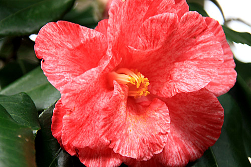 b0014607_22175722.jpg