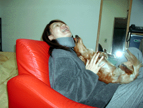 e0179308_23383931.gif
