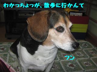 d0104209_20123871.jpg