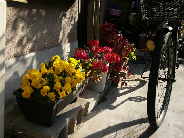 f0167310_8123726.jpg