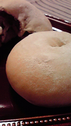 a0169811_165543.jpg