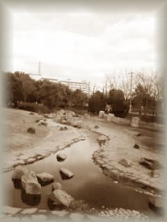 e0119017_10315415.jpg