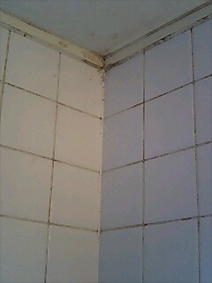 e0091220_19363986.jpg