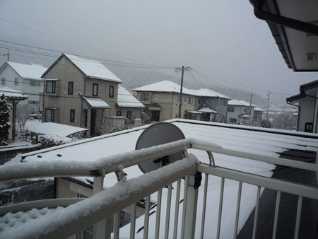 d0004426_929740.gif