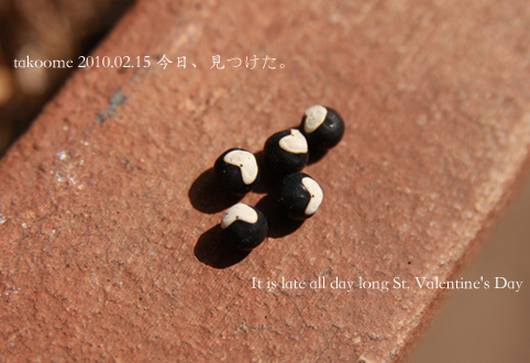 d0042827_20513426.jpg