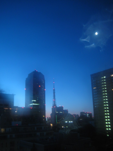 d0147727_847311.jpg