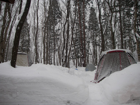 e0008833_1330233.jpg