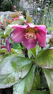 f0142733_16201192.jpg