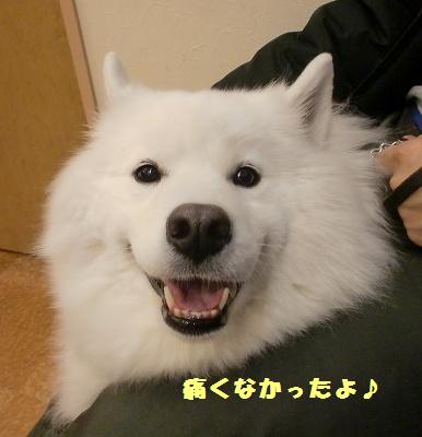 e0196135_044449.jpg