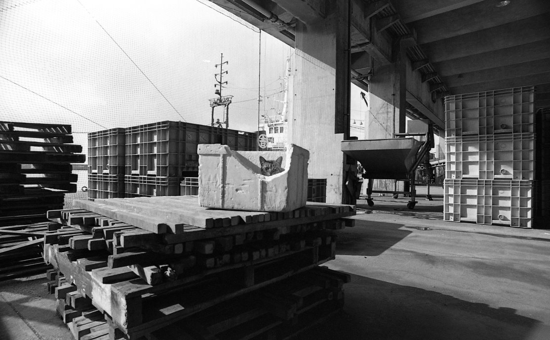 c0158340_22254616.jpg