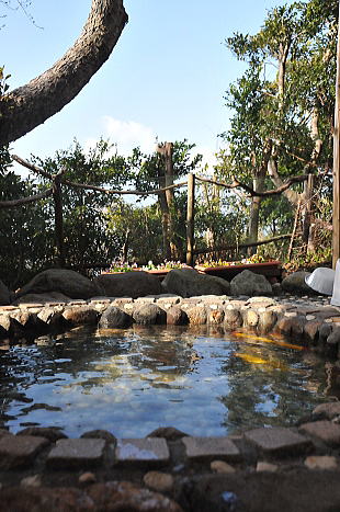 f0094843_1629555.jpg