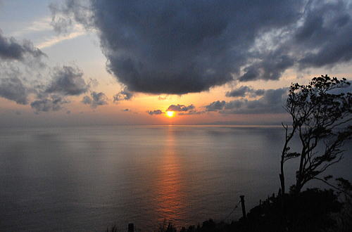 f0094843_16372012.jpg
