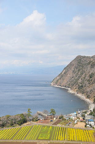 f0094843_22402415.jpg