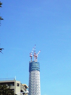 e0183648_16174020.jpg
