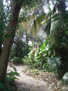 f0009451_15181959.jpg