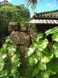 f0009451_1533246.jpg