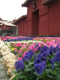 f0009451_155714.jpg