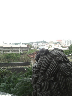 f0009451_156379.jpg