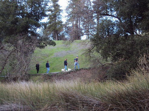 f0200756_1593760.jpg