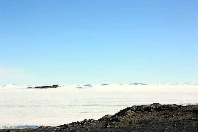 e0151758_942046.jpg