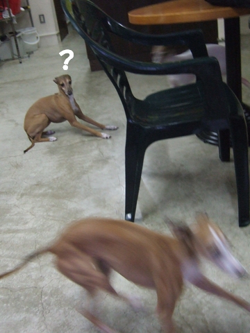 f0158862_1839097.jpg