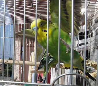 f0196665_052556.jpg