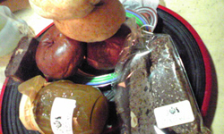 f0204069_748576.jpg