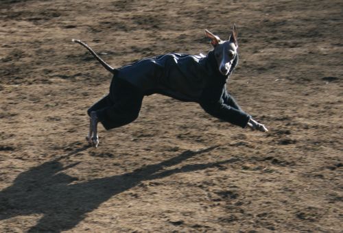 e0062371_2032226.jpg