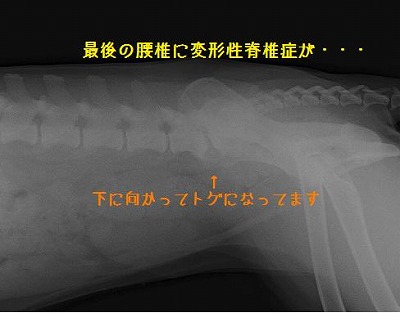 d0124072_1944590.jpg
