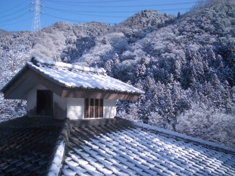 a0160279_21161016.jpg