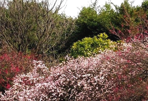 e0143690_9203890.jpg