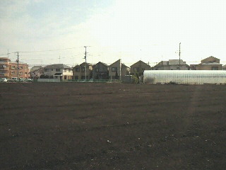 a0145596_20471474.jpg