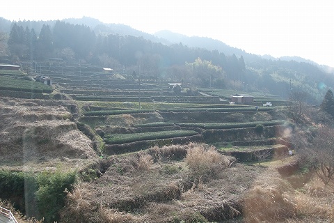 a0023397_19355321.jpg